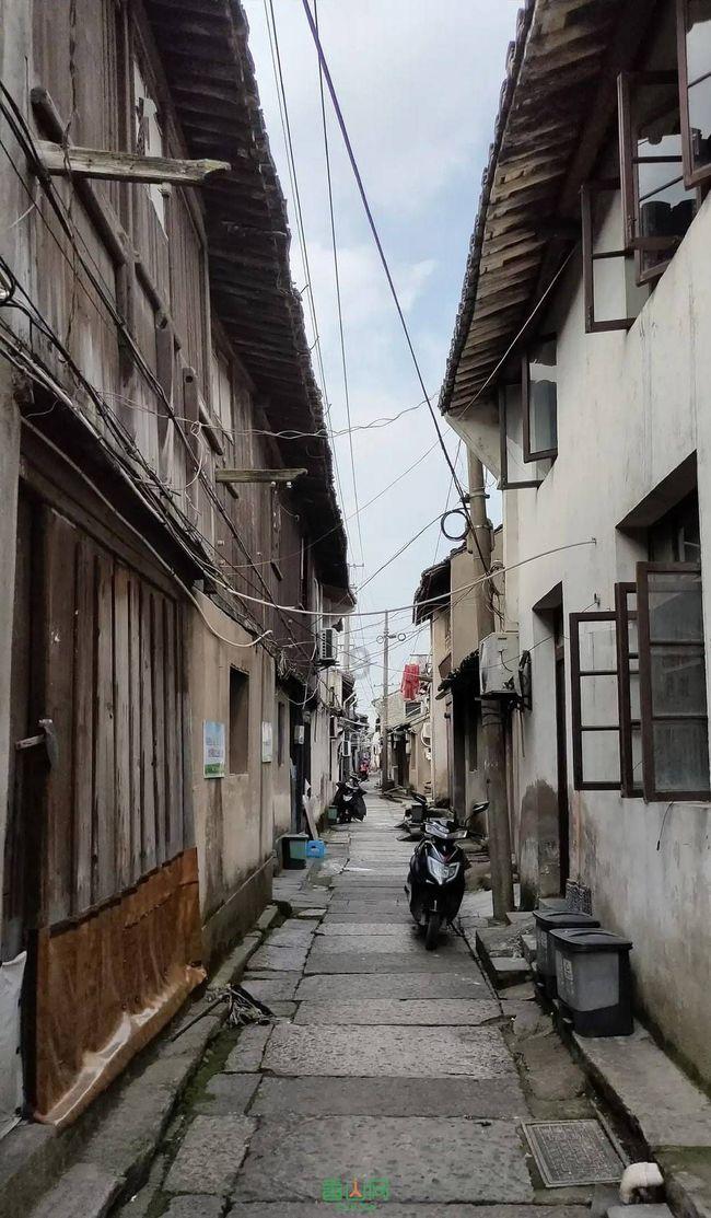 拯救迷路小公主